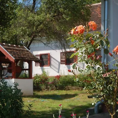Multidezo Porta - Nepi Muemlek Hazak Az Orsegben Apartment Szalafo Exterior photo