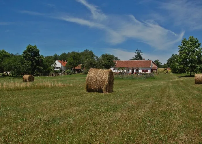 Multidezo Porta - Nepi Muemlek Hazak Az Orsegben