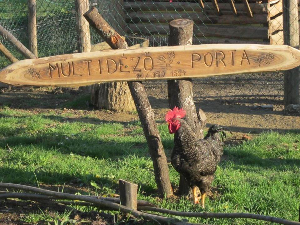 Multidezo Porta - Nepi Muemlek Hazak Az Orsegben *