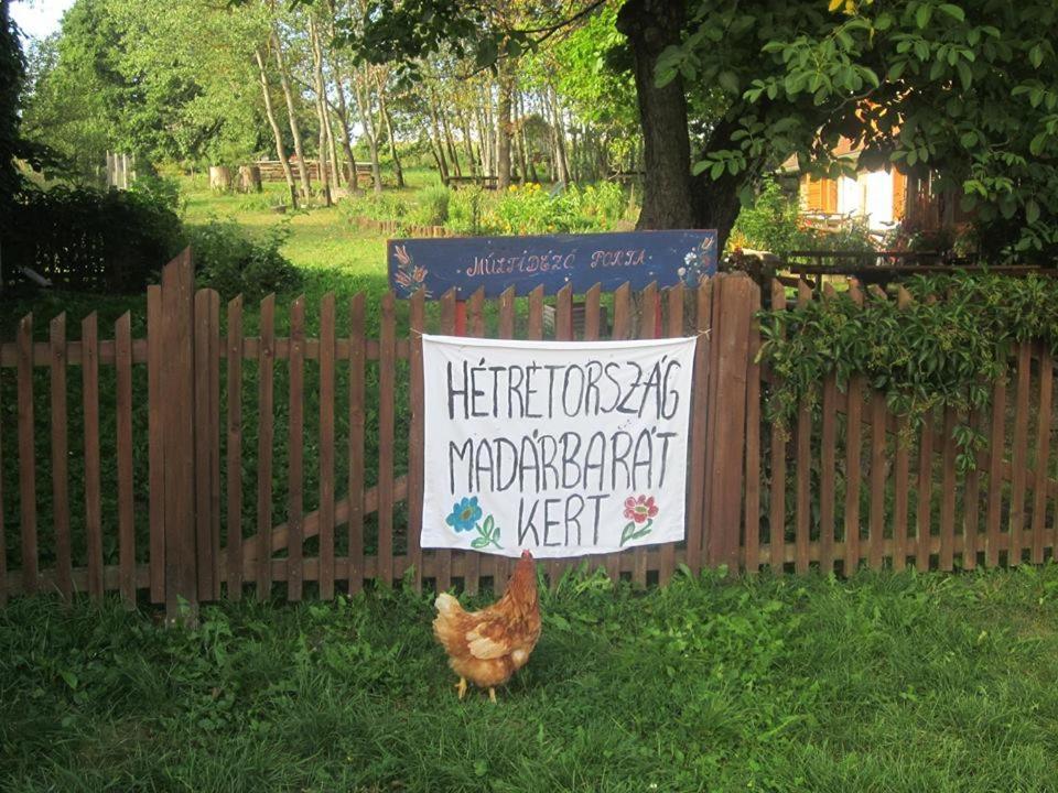 Multidezo Porta - Nepi Muemlek Hazak Az Orsegben Апартаменты Szalafo