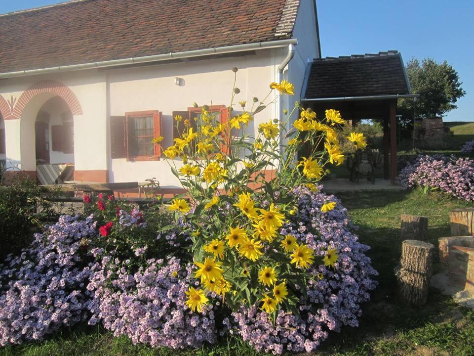 Apartment Multidezo Porta - Nepi Muemlek Hazak Az Orsegben Szalafo