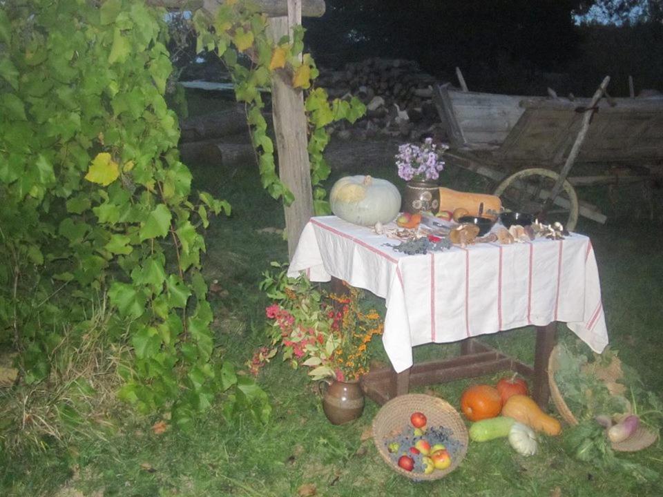 Multidezo Porta - Nepi Muemlek Hazak Az Orsegben Apartment Szalafo