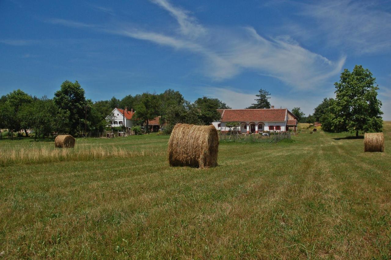 Multidezo Porta - Nepi Muemlek Hazak Az Orsegben Szalafo